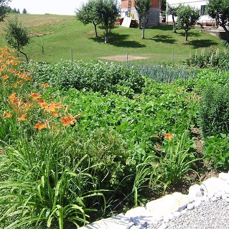 House Osana Hotel Grabovac  Buitenkant foto
