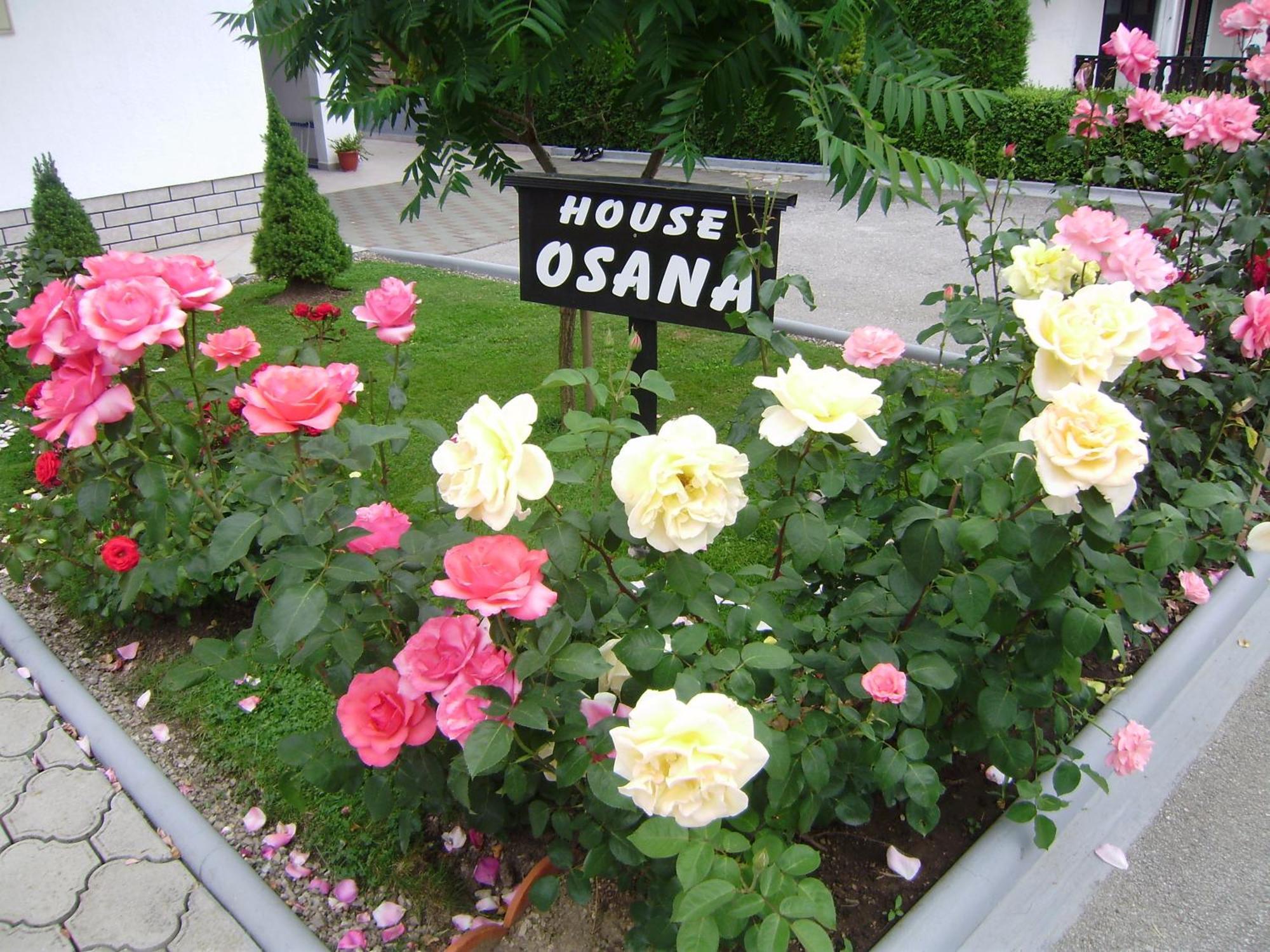 House Osana Hotel Grabovac  Buitenkant foto