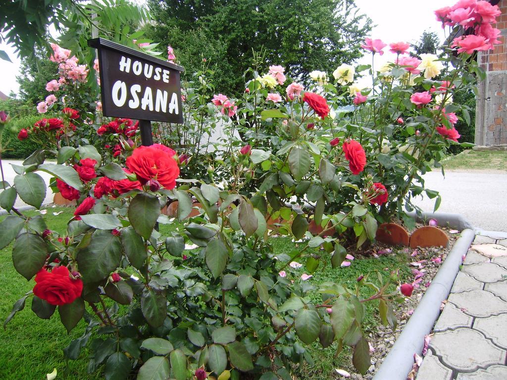 House Osana Hotel Grabovac  Buitenkant foto
